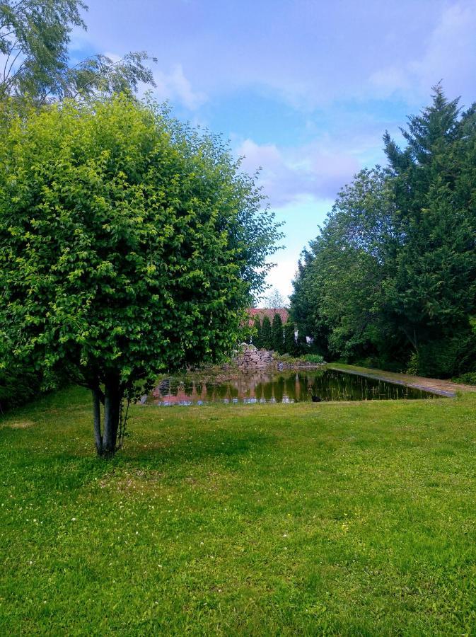 Vadvirag Panzio Hotel Agfalva Luaran gambar